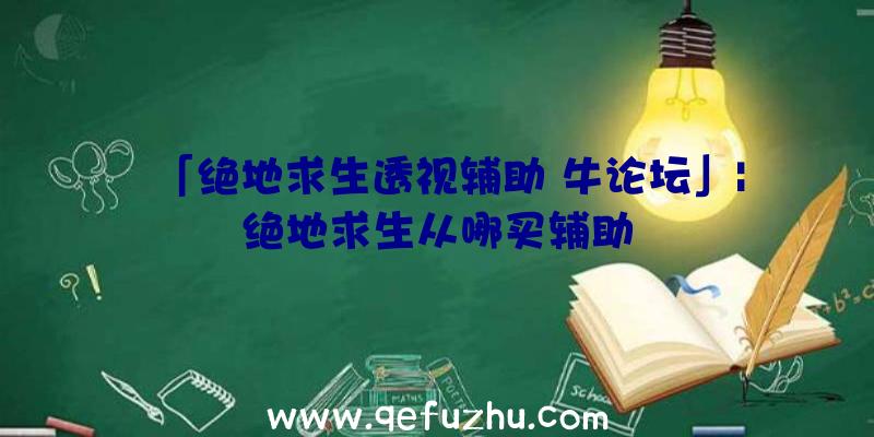 「绝地求生透视辅助